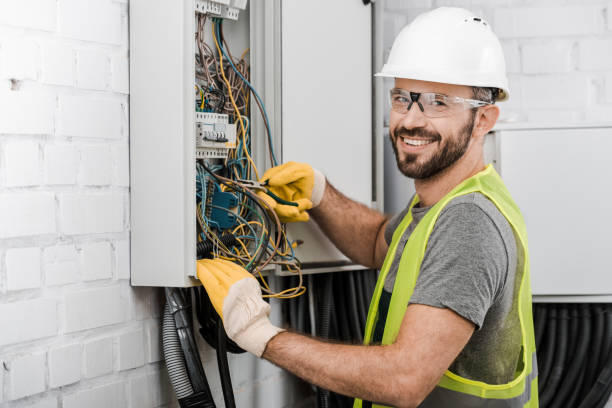 Best Electrical System Inspection  in Locust Fork, AL